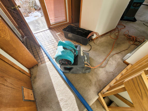 Best Storm and Flood Water Damage Restoration in El Cerro Mission, NM