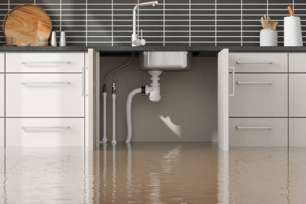 Best Water Damage Assessment and Inspection in El Cerro Mission, NM